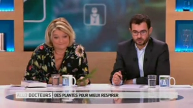 Mieux respirer : quelles plantes utiliser pour des cataplasmes ?