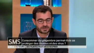 Des plantes pour mieux respirer : le gingembre et le thym sont-ils efficaces ?