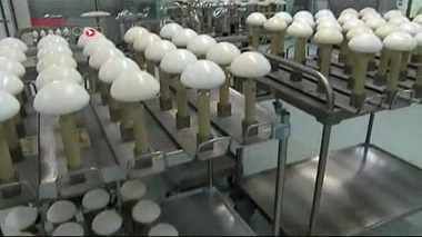 Des prothèses mammaires non-conformes retirées du marché