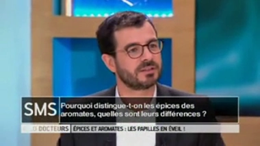 Quelle différence entre aromates et épices ?