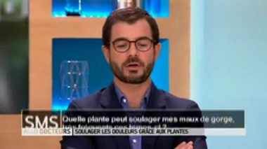 Quelles plantes pour soulager les maux de gorge ?