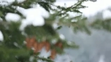 Grippe : le froid renforce-t-il le virus ?