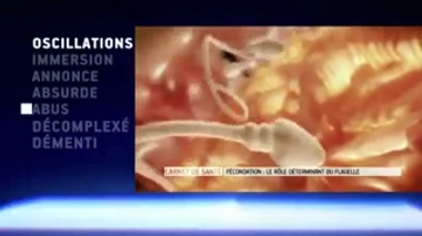 Zapping du 20 janvier 2017