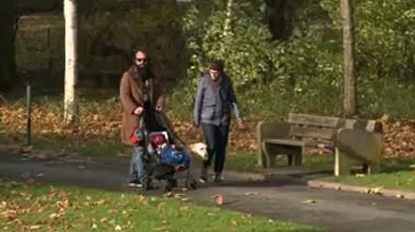 Un chien d'éveil au service des bébés malvoyants