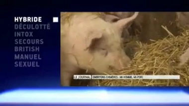 Zapping du 3 février 2017