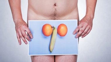 Testicules : ce que cachent vos bijoux de famille - 