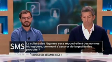 Les légumineuses peuvent-elles être des alliées contre le grignotage ?