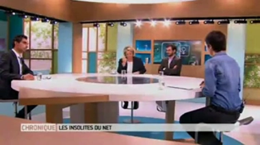 Insolites du Net : un poisson rouge en fauteuil roulant