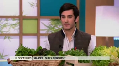 Quelles vitamines retrouve-t-on dans les salades vertes ?