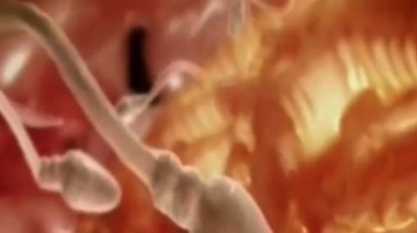 Infertilité masculine : des solutions pour une fécondation