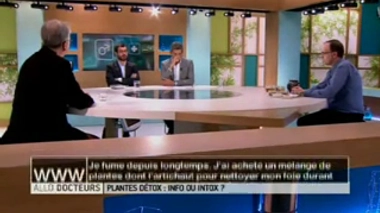 L'artichaut, une plante détox idéale pour le foie ?