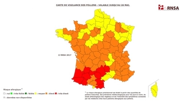 Allergies : le Sud-Ouest dans le rouge