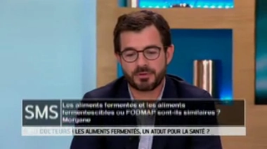 Les aliments fermentés et les aliments fermentescibles sont-ils similaires ?