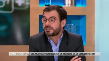 La caféine et la théine agissent-elles sur notre mémoire ?