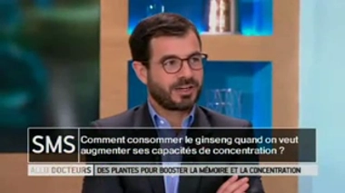 Booster sa mémoire grâce aux plantes : quelles infusions choisir avant le coucher ?