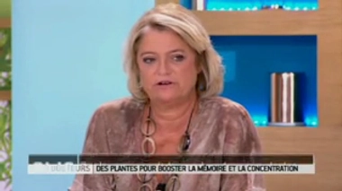 Quels composants trouve-t-on dans les plantes qui boostent la mémoire  ?