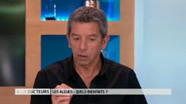 Algues : pourquoi sont-elles si chères ?