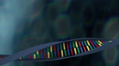 En principe, le risque de posséder une déficience de fumarase est de 1 sur 400 millions.