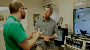 Michel Cymes est aux premières loges pour la naissance des jumeaux pandas (Photo Thimoté Dereix)