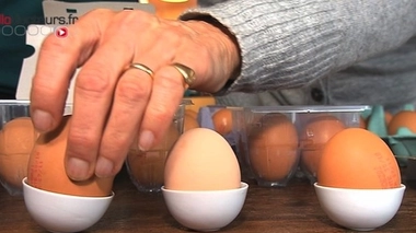 De l'amitraze pourrait également avoir été utilisé sur les poules d'élvage aux Pays-Bas.