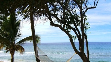 Cette algue contient une toxine qui peut produire une irritation de la peau, une dermatite, il faut donc éviter d'entrer en contact avec elle dans l'eau comme sur le sable.