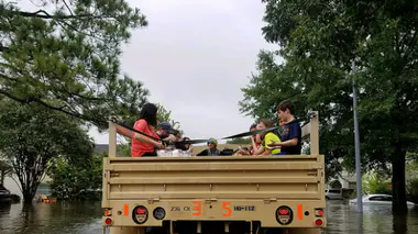 Des maladies virales comme Zika ou le Nil occidental pourraient aussi se propager à Houston.