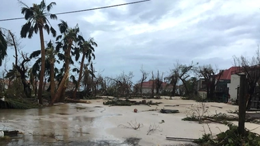Saint-Barthelemy, ce 7 septembre.