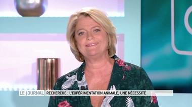 Entretien avec le Pr Marc Peschanski, directeur scientifique de l'I-Stem