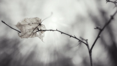 Deuil : comment annoncer à l'enfant le décès de son parent?