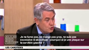 Carotides : pourquoi une plaque ?