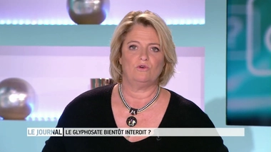 Entretien avec Suzanne Dalle, chargée de campagne agriculture chez Greenpeace