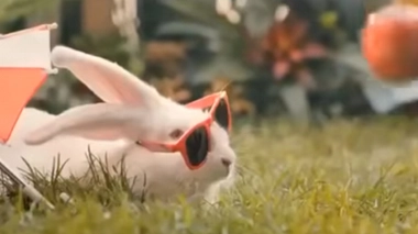 La population polonaise pourrait être quasiment divisée par deux d'ici 2100.