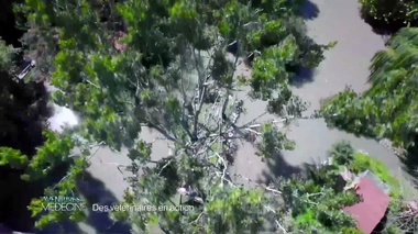 Baptême du bébé panda : les images de Yuan Meng à un mois