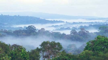 Guyane : contamination des populations au plomb et au mercure