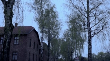 "Hippocrate aux enfers" : Michel Cymes répond à la critique de Télérama