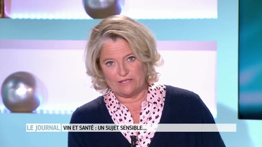 Addictions : "Attaquer le vin c'est attaquer des puissances énormes"