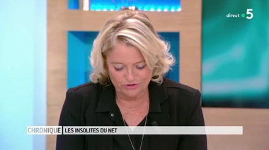 Insolites du Net : une encyclopédie en ligne dédiée au sexe féminin