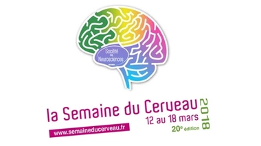 Une semaine pour mieux connaître... votre cerveau !