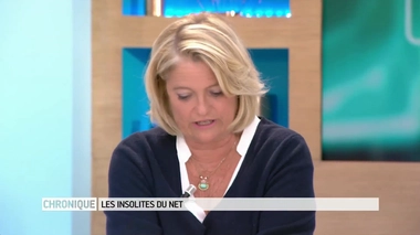 Insolites du Net : les bons réflexes à adopter en cas d'attaque terroriste