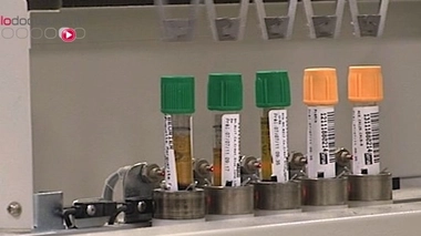 Le Sénat approuve les examens génétiques post-mortem