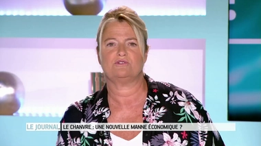 21% des 14-24 ans regarderaient du porno au moins une fois par semaine. © r.nial.bradshaw on VisualHunt.com - Vidéo : entretien avec le Dr Yann Rouquet, gynécologue obstétricien et trésorier du fonds pour la santé des femmes