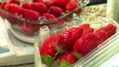 La fraise, de la cueillette à l'assiette