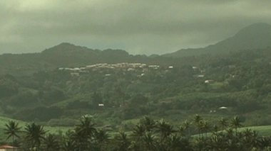 Chlordécone : vers de nouvelles quantités tolérées dans les aliments
