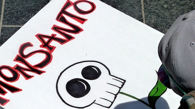 Monsanto sur le banc des accusés