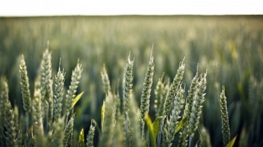 En 2017, la concentration de CO2 dans l'atmosphère était de 405 parties par million (ppm).