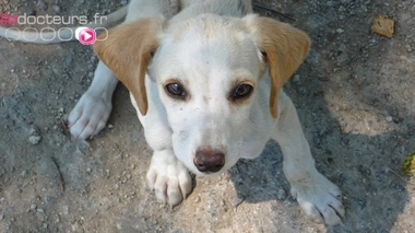 Image d'illustration.