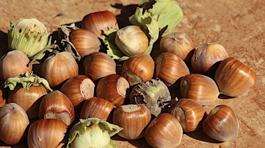 Crédit photo : ©Pixabay - Alicja