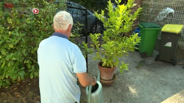 Insuffisance rénale : une dialyse connectée pour un suivi en temps réel