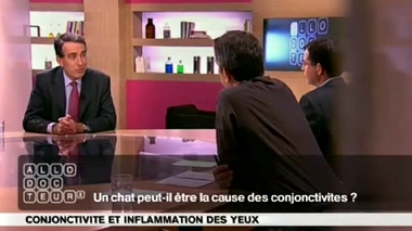 Conjonctivite : à cause du chat ?
