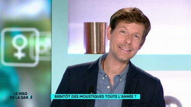 Y aura-t-il des moustiques à Noël ?